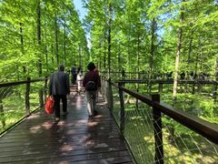 -黄海国家森林公园