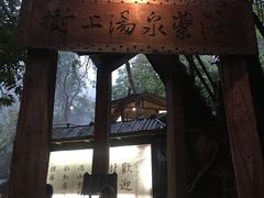 -天门沟九州驿站树上汤泉