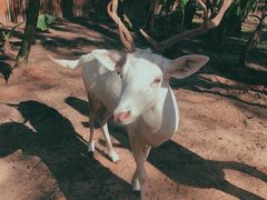 -六鳌翡翠湾滨海度假景区