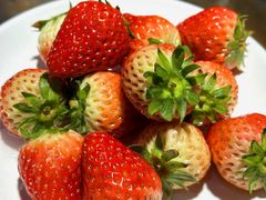 -蛙蛙鸡冷锅鱼(驷马桥店)