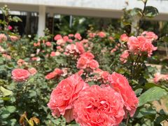 -人民公园(罗湖区)