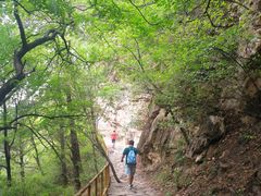 -北京上方山国家森林公园