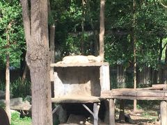 -清迈夜间动物园