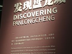 -盘龙城国家考古遗址公园