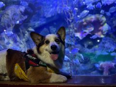 -太平洋海底世界