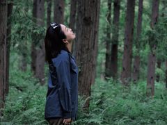 -黄海国家森林公园