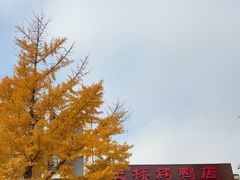 -玉桥餐厅(天坛店)