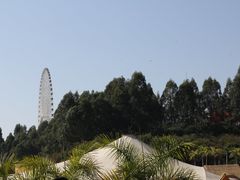 -凤岭儿童公园
