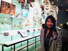 -美国自然历史博物馆