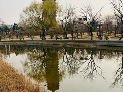 -西海子公园