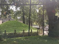 -武侯墓风景区