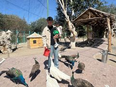 -水上乐园·欢乐世界