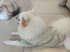 -怪兽屋·羊驼·猫咖·狗咖(俊华广场店)