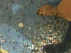 -水晶之星洗浴温泉汗蒸