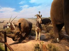 -陕西自然博物馆