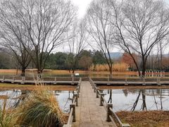 -长广溪湿地公园