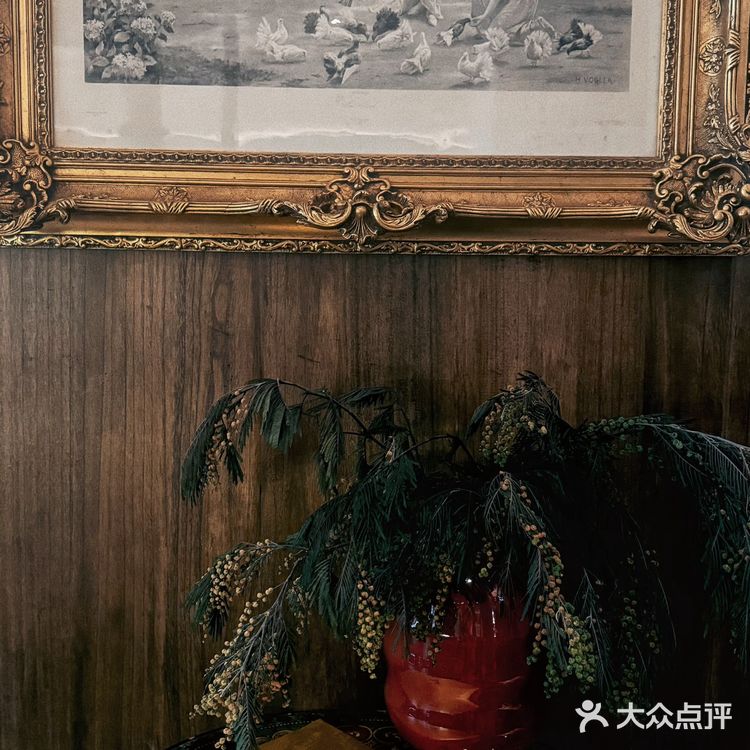 🎬旁观者视角下的一切