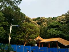 -广州市帽峰山景区