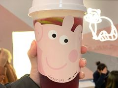 -浣熊柯尔鸭土拨鼠·电玩咖