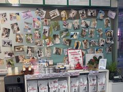 -爱妮康宠物医院·干细胞免疫细胞·肿瘤·心脏(张江店)