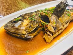 红烧黑头鱼-郑庄脂渣海鲜楼(九水路店)