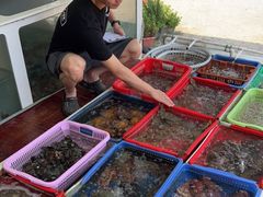 -南蚝小贝海鲜特色餐厅(南澳岛店)