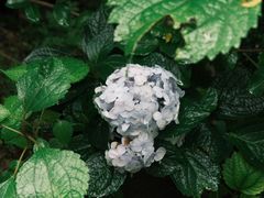 -MOJ coffee(瓯海泽雅水碓坑店)