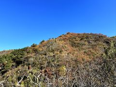 -云岫谷自然风景区