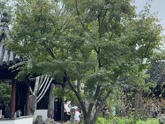 -柳州肥姨妈大骨螺蛳粉(江宁万达店)