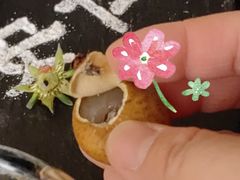 -成都安仁福朋喜来登酒店