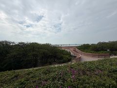 -宝安西湾红树林湿地公园