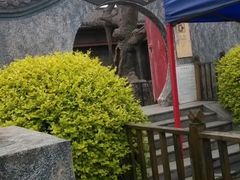-杨柳青庄园