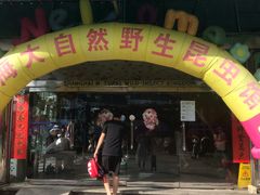 -上海大自然野生昆虫馆(东方明珠·爬宠昆虫探索中心)