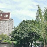 成都回忆录之宽窄巷子