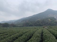 -午潮山国家森林公园