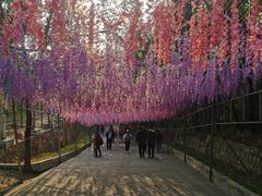 -北京十三陵国家森林公园蟒山景区