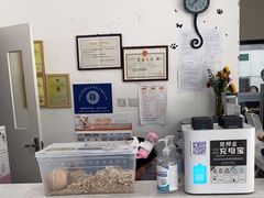 -中农国际动物医院24小时·猫科·骨科·急重症中心