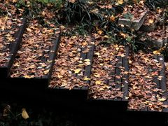 -宝岩生态观光园