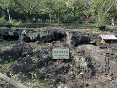 -海口火山口国家地质公园
