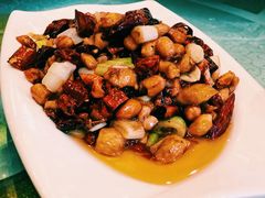 -陈麻婆豆腐总店