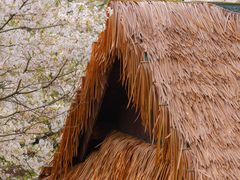-中国茶叶博物馆(双峰馆区)