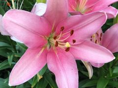 -南通洲际绿博园