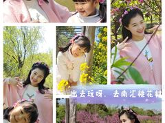 -南汇桃花村