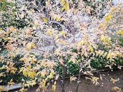 -爷爷的土钵菜(街道口店)