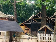 -金庭庄园酒店-停车场