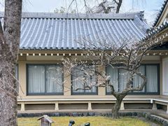-醍醐寺