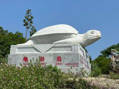 -龟龄岛