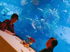 -迪拜帆船酒店海底餐厅