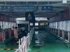 -武汉关码头(轮渡站)