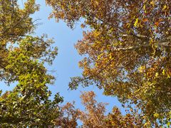 -汉长安城未央宫国家考古遗址公园